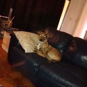 Meet your Posher, You